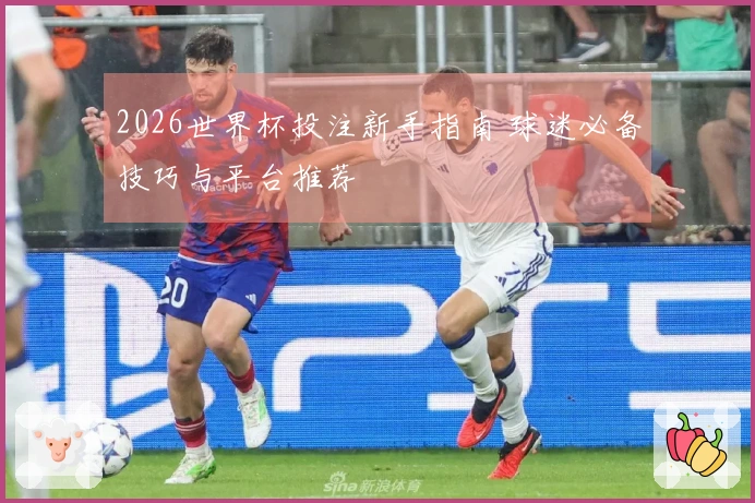 2026世界杯投注新手指南 球迷必备技巧与平台推荐