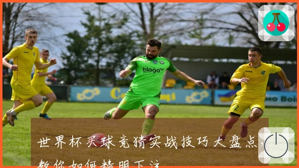 世界杯买球竞猜实战技巧大盘点，教你如何精明下注