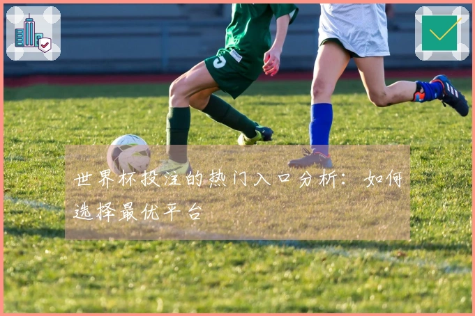 世界杯投注的热门入口分析：如何选择最优平台