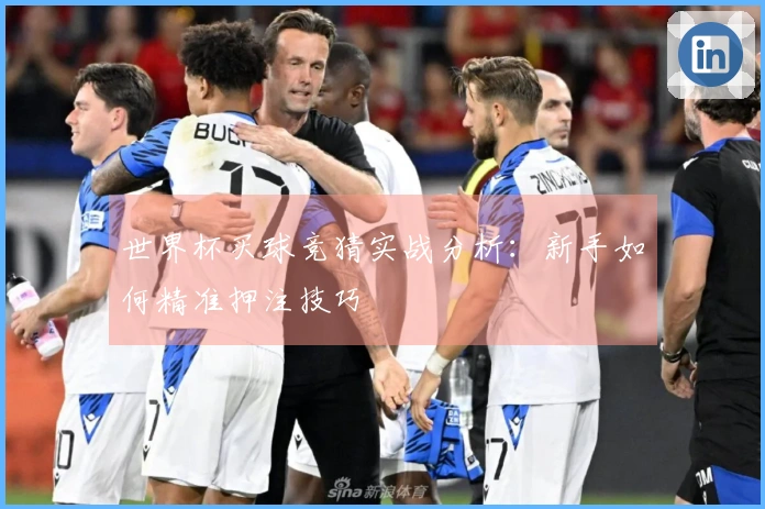 世界杯买球竞猜实战分析：新手如何精准押注技巧